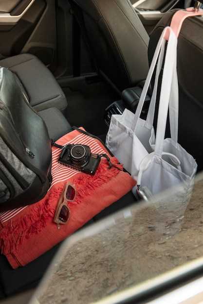 Car Accessories Every Parent Needs