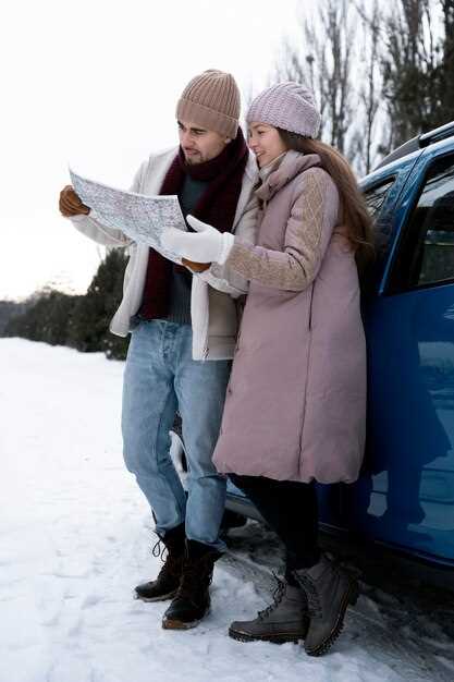 Choosing Fuel Options Based on Regional Climate