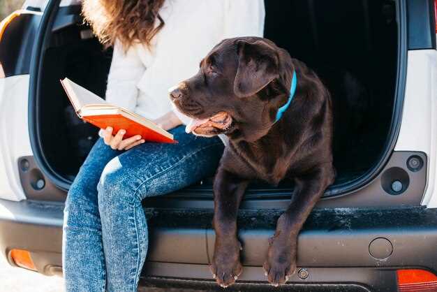 Best Cleaning Products for Pet Stains and Odors in Your Vehicle