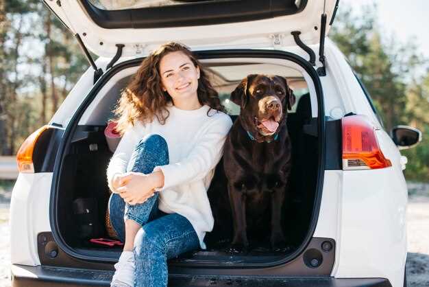 Pets and Cars – Keeping Your Vehicle Clean